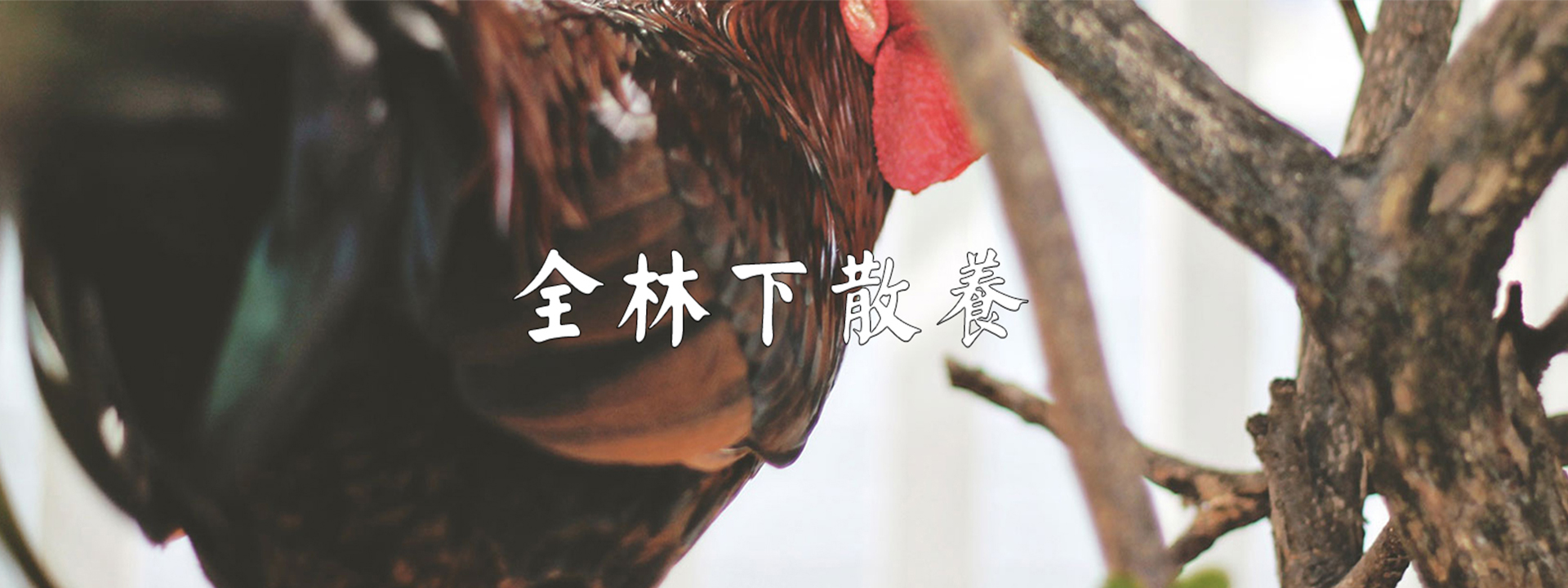 重慶茄子网站免费農產品配送有限公司